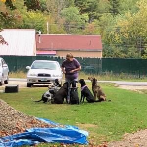 Meet your Posher, Hope